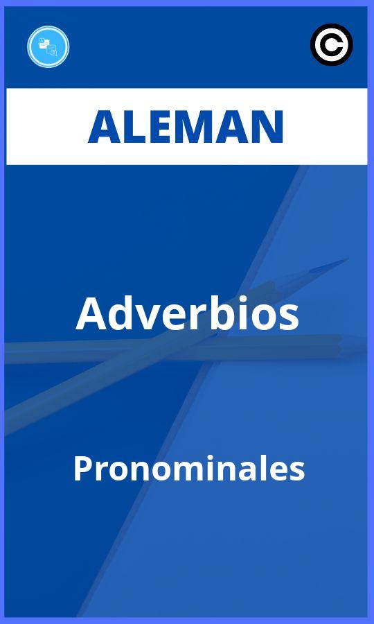 Ejercicios Adverbios Pronominales Aleman PDF