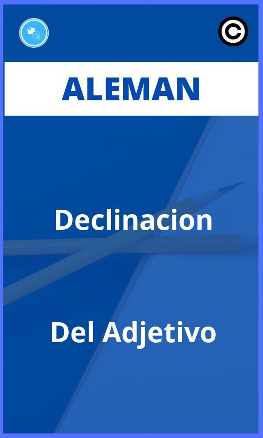 Ejercicios Aleman Declinacion Del Adjetivo PDF