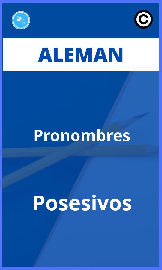 Ejercicios Aleman Pronombres Posesivos PDF