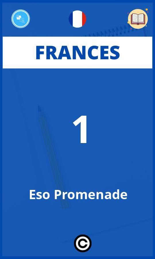 Ejercicios 1 Eso Promenade Frances PDF