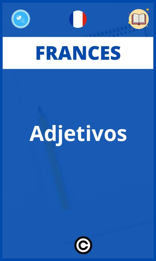 Ejercicios Adjetivos Frances PDF