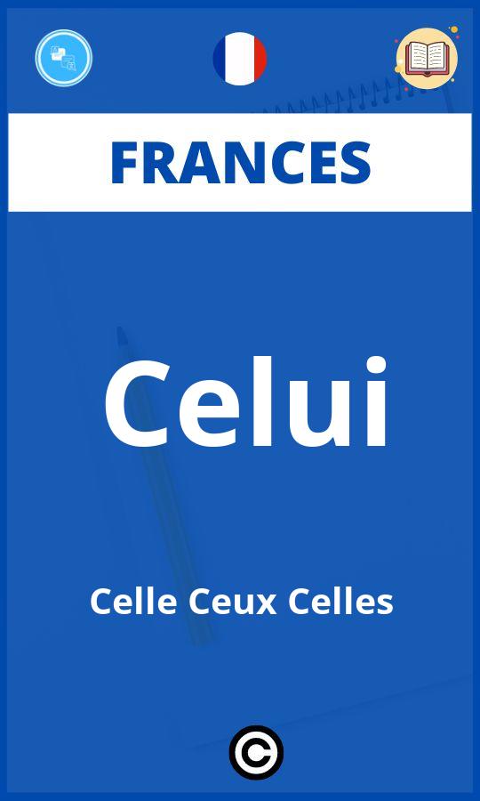 Ejercicios Celui Celle Ceux Celles Frances PDF