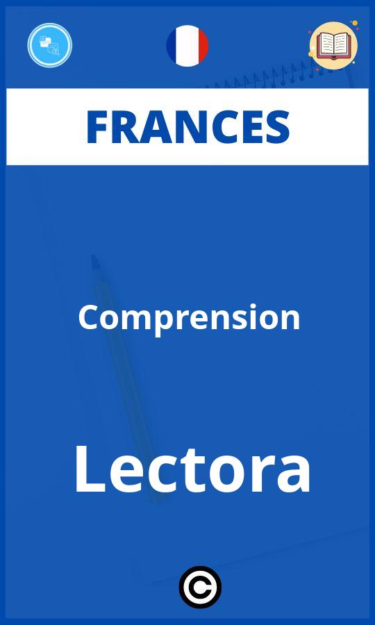 Ejercicios Frances Comprension Lectora PDF