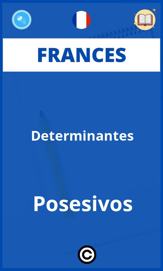 Ejercicios Determinantes Posesivos Frances PDF