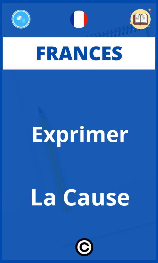 Ejercicios Exprimer La Cause Frances PDF