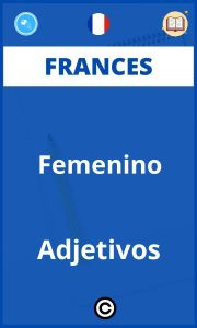 Ejercicios Femenino Adjetivos Frances
