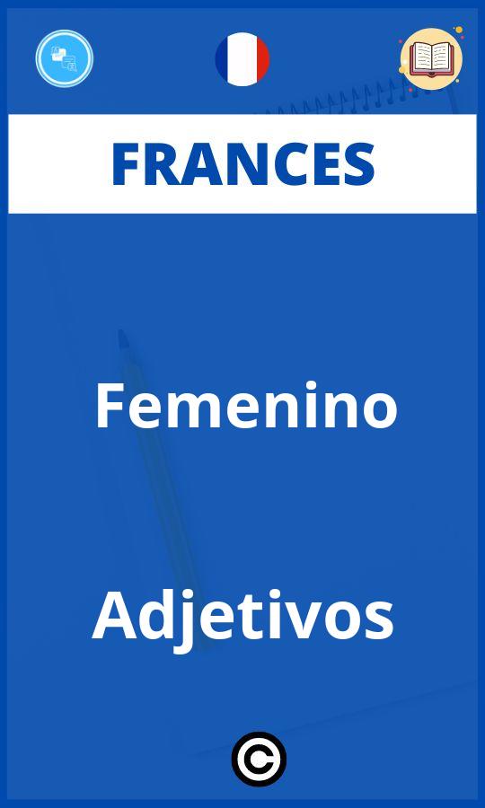 Ejercicios Femenino Adjetivos Frances PDF