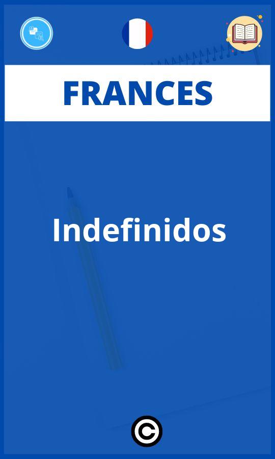 Ejercicios Frances Indefinidos PDF