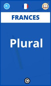 Ejercicios Frances Plural