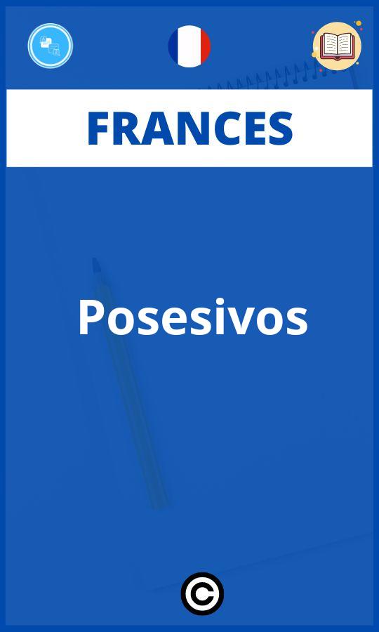 Ejercicios Posesivos Frances PDF