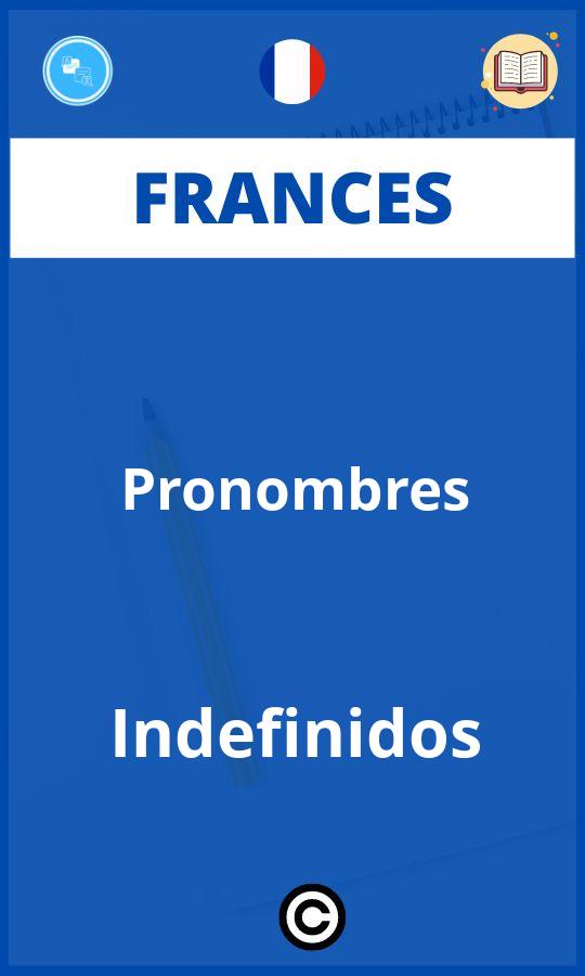 Ejercicios Pronombres Indefinidos Frances PDF