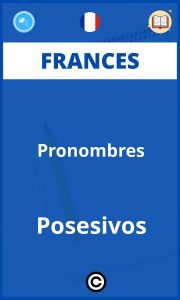 Ejercicios Frances Pronombres Posesivos