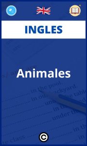 Ejercicios Animales Ingles