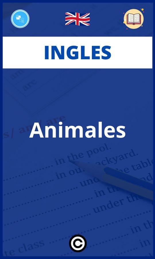 Ejercicios Animales Ingles PDF