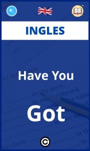 Ejercicios Ingles Have You Got