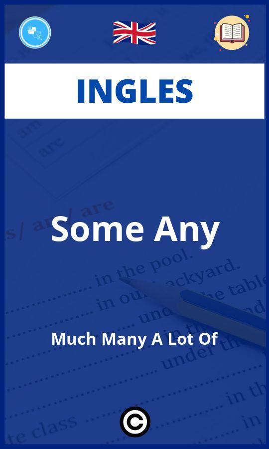 Ejercicios Some Any Much Many A Lot Of Ingles PDF