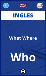 Ejercicios Ingles What Where Who