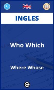 Ejercicios Who Which Where Whose Ingles