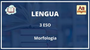 Ejercicios Morfologia 3 ESO Con Soluciones PDF