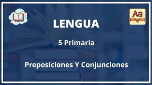 Ejercicios Preposiciones Y Conjunciones 5 Primaria Con Soluciones PDF