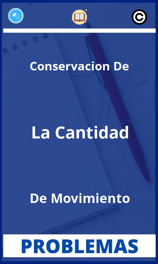 Problemas de Conservacion De La Cantidad De Movimiento Resueltos PDF