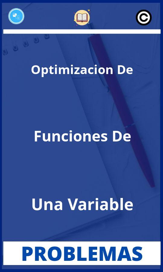 Problemas de Optimizacion De Funciones De Una Variable Resueltos PDF