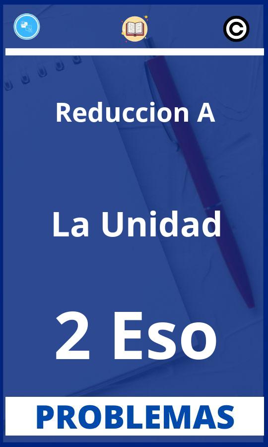Problemas de Reduccion A La Unidad 2 Eso Resueltos PDF